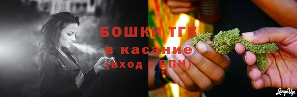 спиды Арсеньев