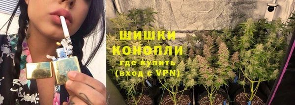хмурый Болотное