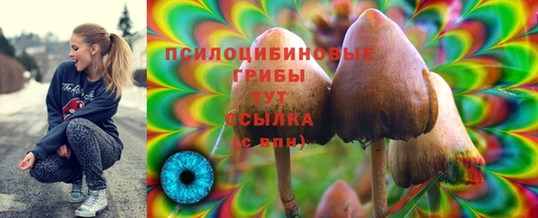 прущий лед Армянск
