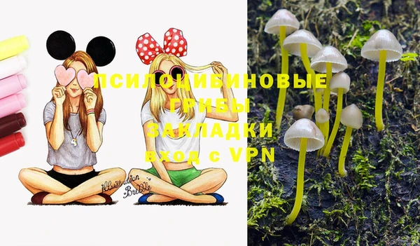 прущий лед Армянск