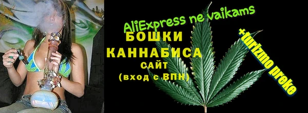 спиды Арсеньев